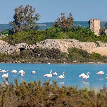 Santina Holiday home Torre Colimena